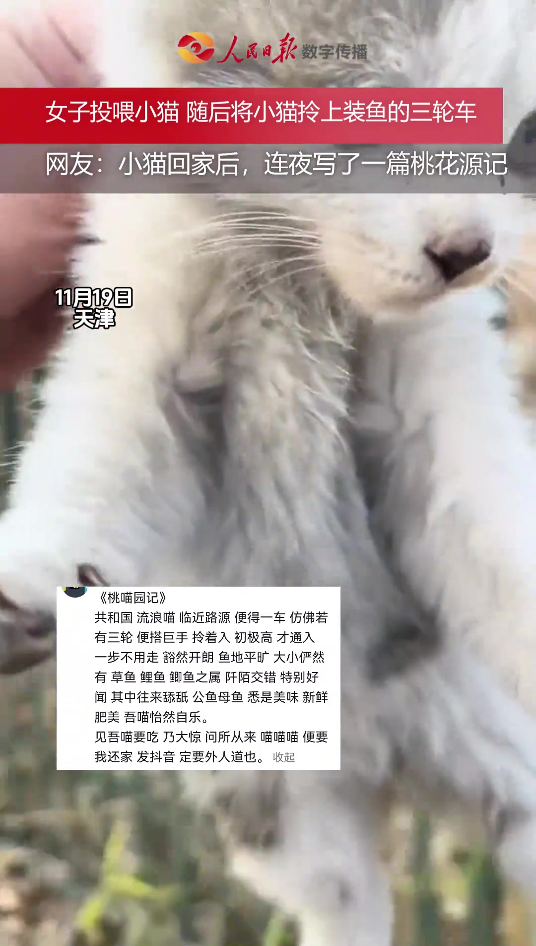 「小猫小猫」女子在姐姐家鱼塘附近发现一只小猫便拿了一条小鱼投喂,随后将小猫拎上装鱼的三轮车