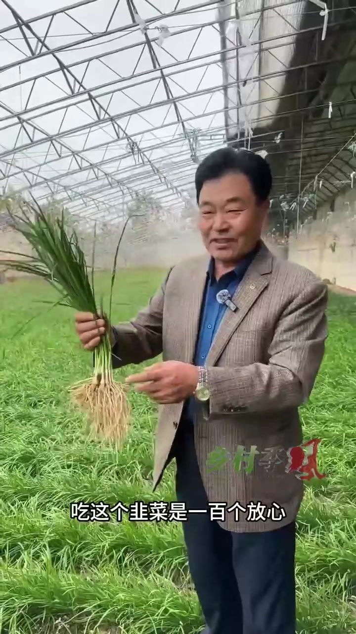 这里的韭菜形似小葱,能卖到百元一斤。平度韭菜