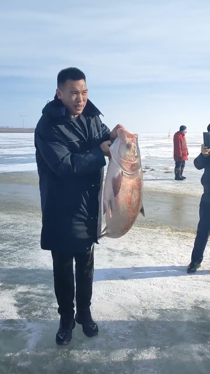 查干湖最美胖头鱼主要是人耍