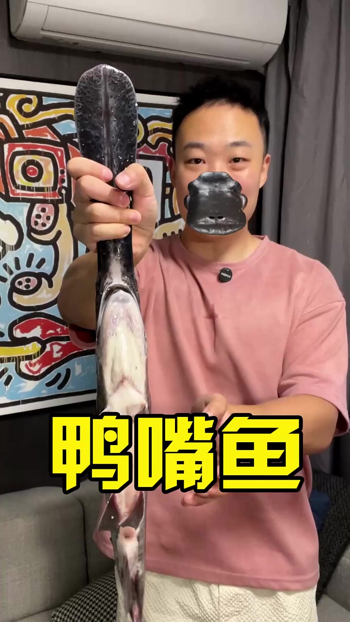 这条上古神兽的味道真的有点一言难尽!鸭嘴鱼鸭嘴鲟