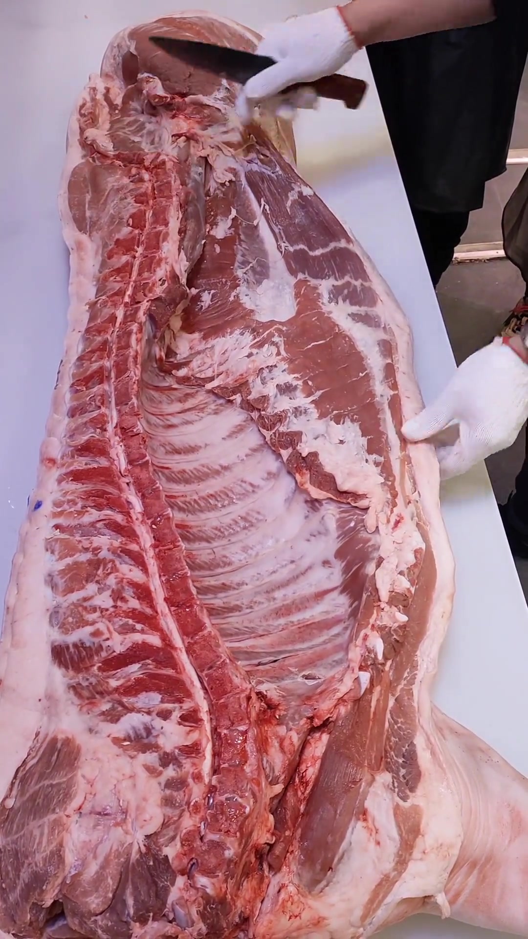 简单说说:猪肉各个部位名称