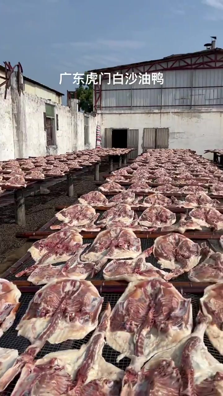 虎门特产 白沙油鸭