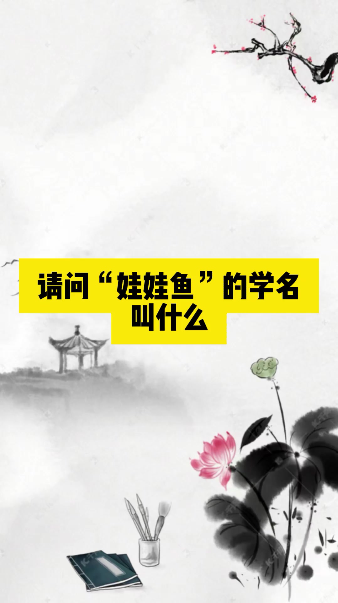 请问娃娃鱼的学名叫什么?