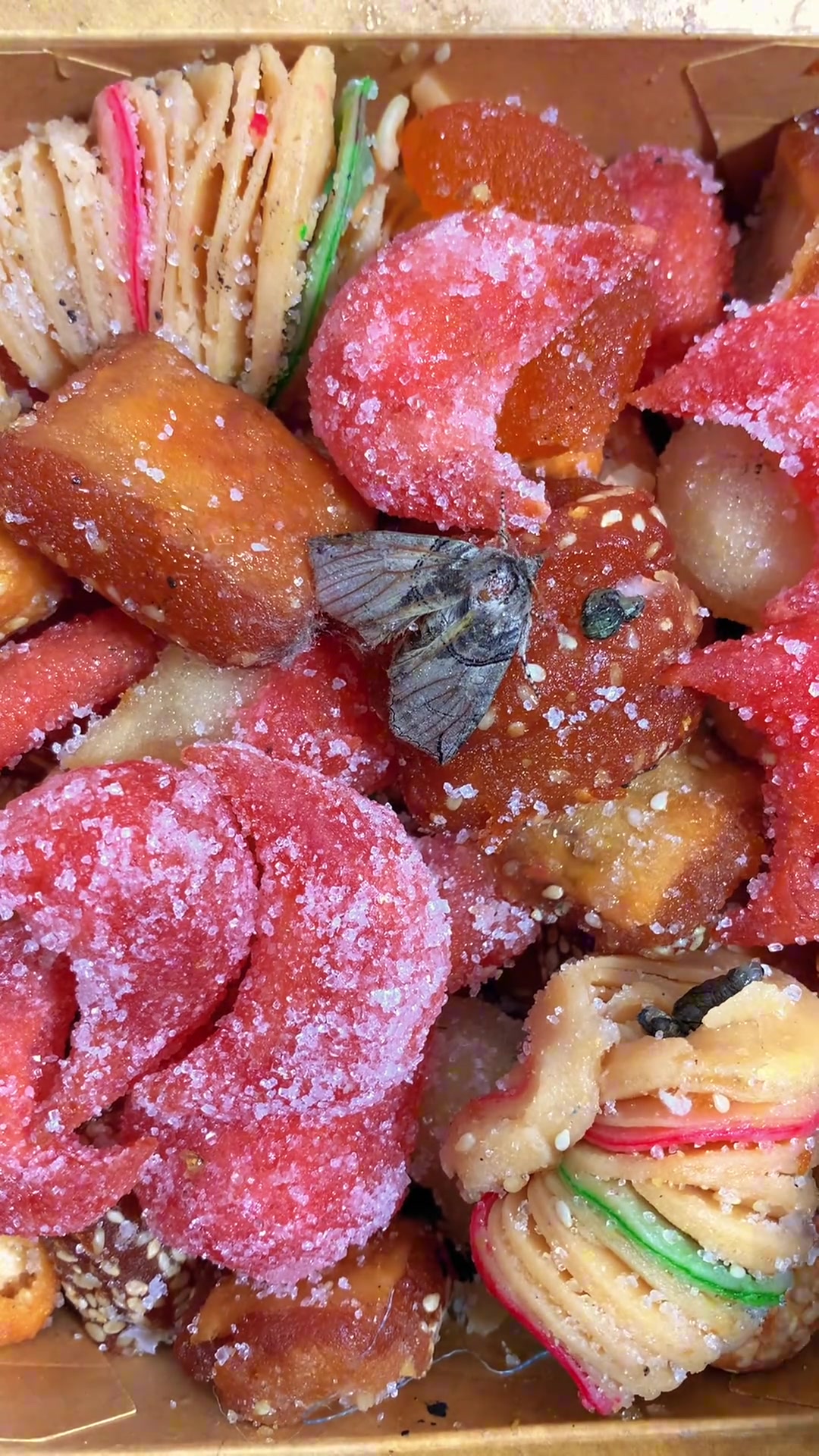 飞蛾都说甜的老糕点 这盒糕点我说甜它不算,你听听飞蛾咋说的吧?传统糕点老式果子怀