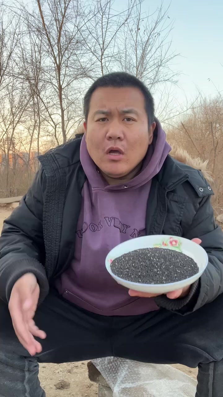 黑芝麻怎么挑?东北早市土豆哥教你怎么挑选营养健康又美味的黑芝麻!糠麻和油麻的区别!