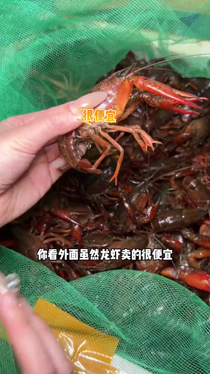 别问了 今年的龙虾就它家啦