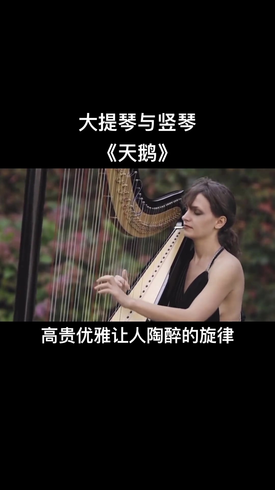 大提琴与竖琴演绎圣桑《天鹅》