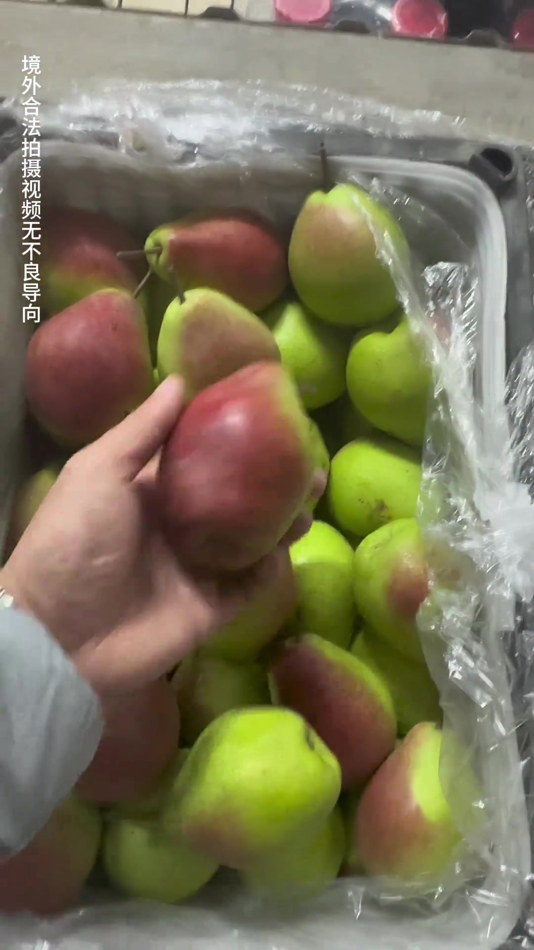 境外农贸市场!吉尔吉斯斯坦