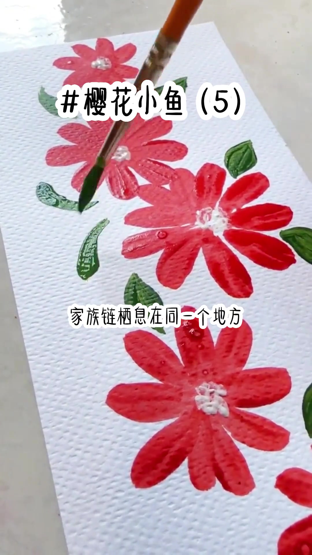 樱花小鱼!