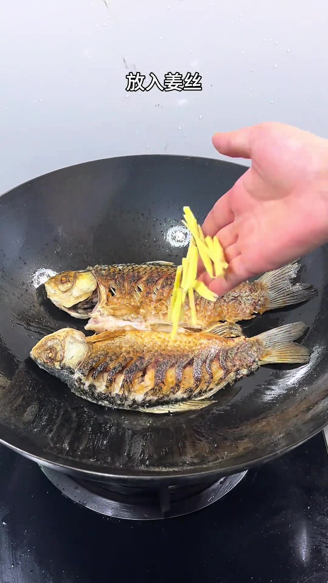 今天给家人做了,萝卜丝鲫鱼汤 汤鲜味美 汤汁奶白很鲜 很适合老人和孩子奶白鲫鱼