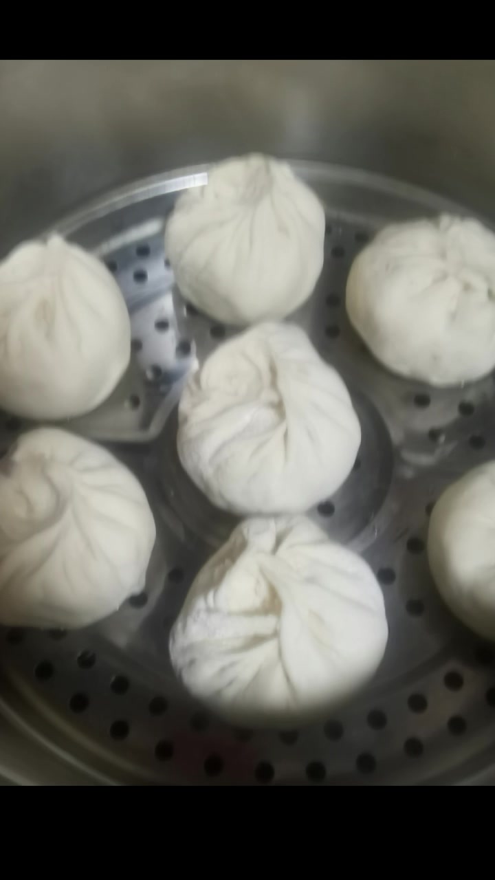豆角粉条酱肉包子