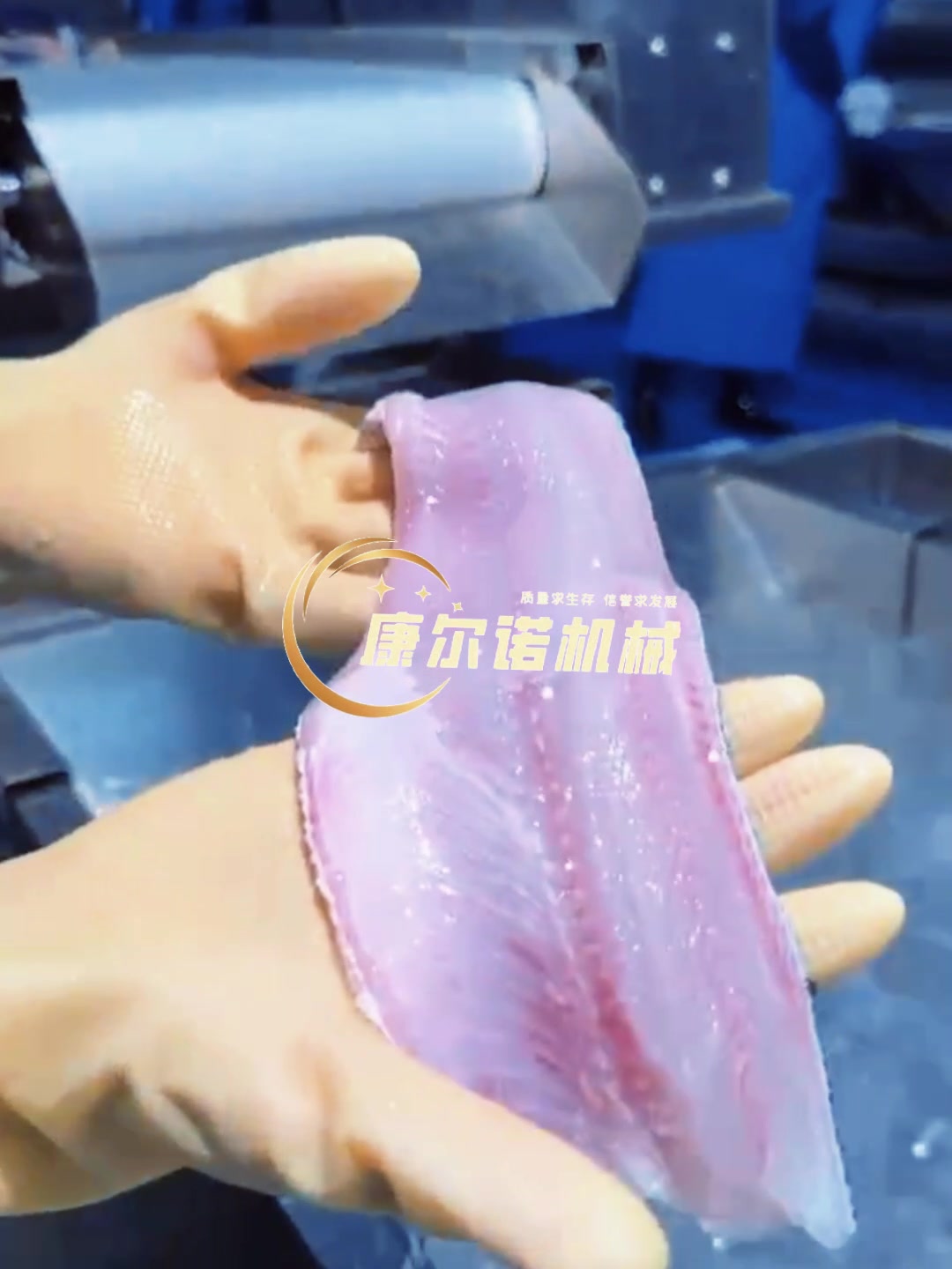 滚筒去鱼鳞机 洗鱼机 鱼肉切片机——整套鱼加工流水线视频