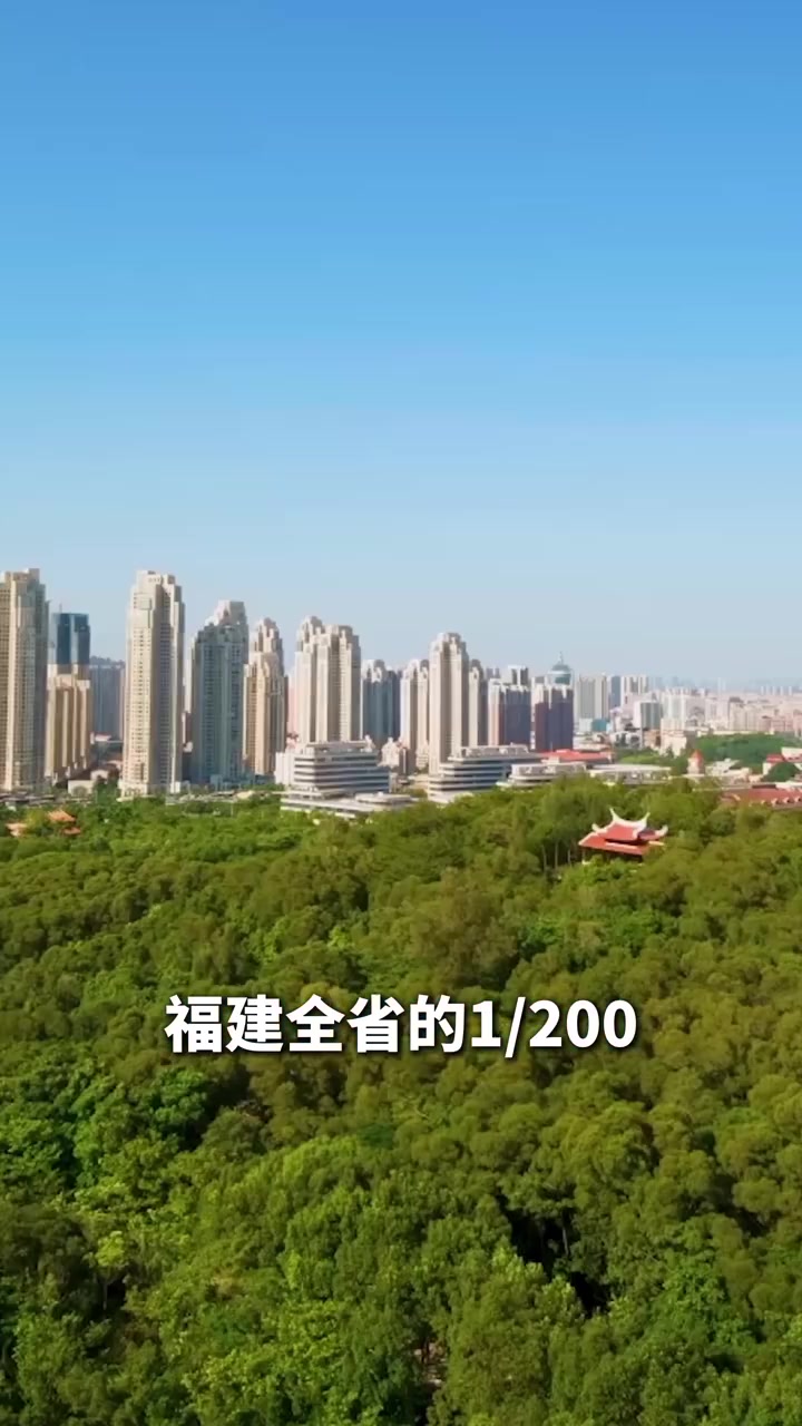 「敢为天下先 爱拼才会赢」在福建晋江,平均每7个人就有1个老板,每21个人就有1家企业。晋