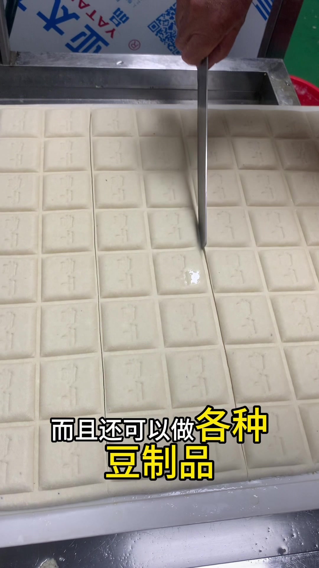 多功能豆腐机,可做多种豆制品