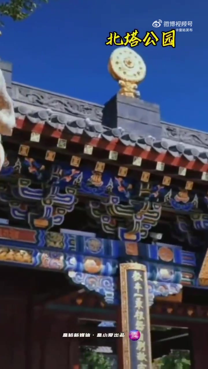爆米花的花语是什么?