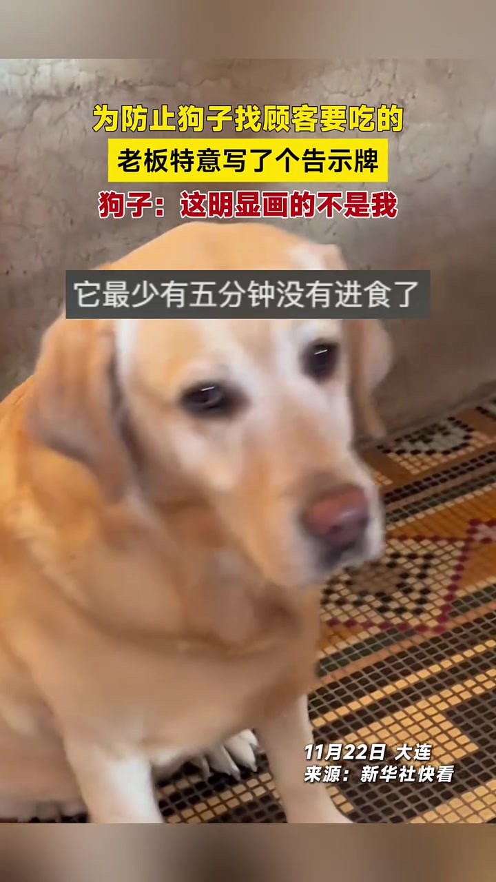 为防止狗子找顾客要吃的,老板特意写了个告示牌,狗子:这明显画的不是我
