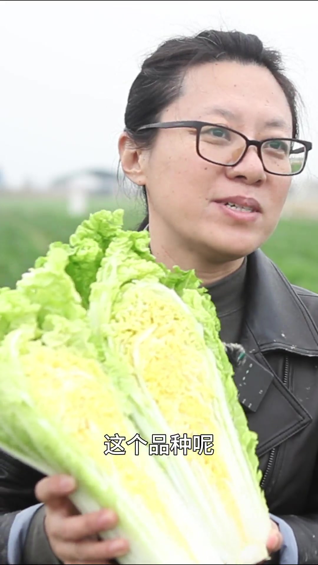 盐碱地种出的高绿2号 抗干烧心 抗盐碱 耐抽薹