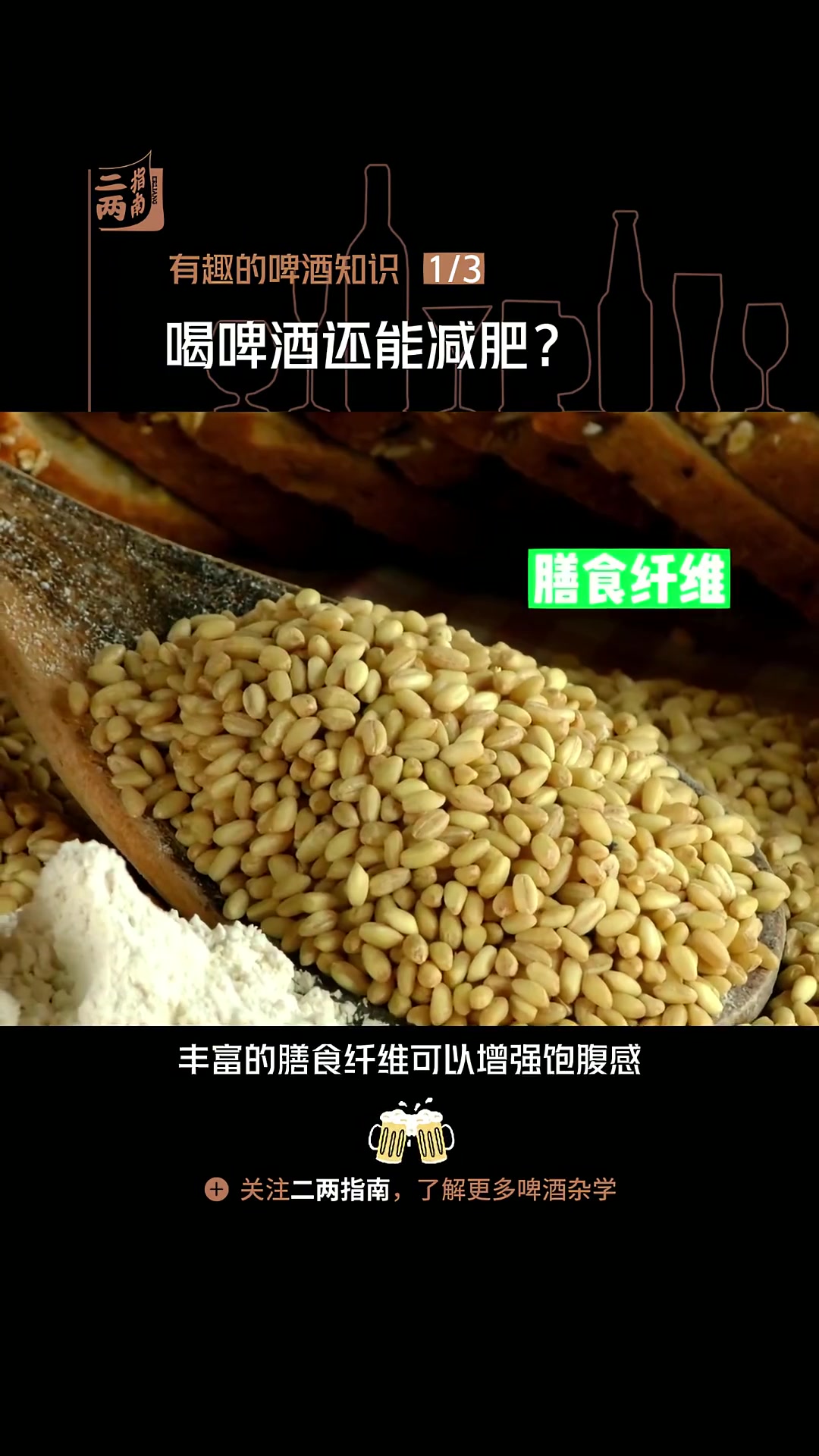 有趣的啤酒~喝啤酒会变胖吗?