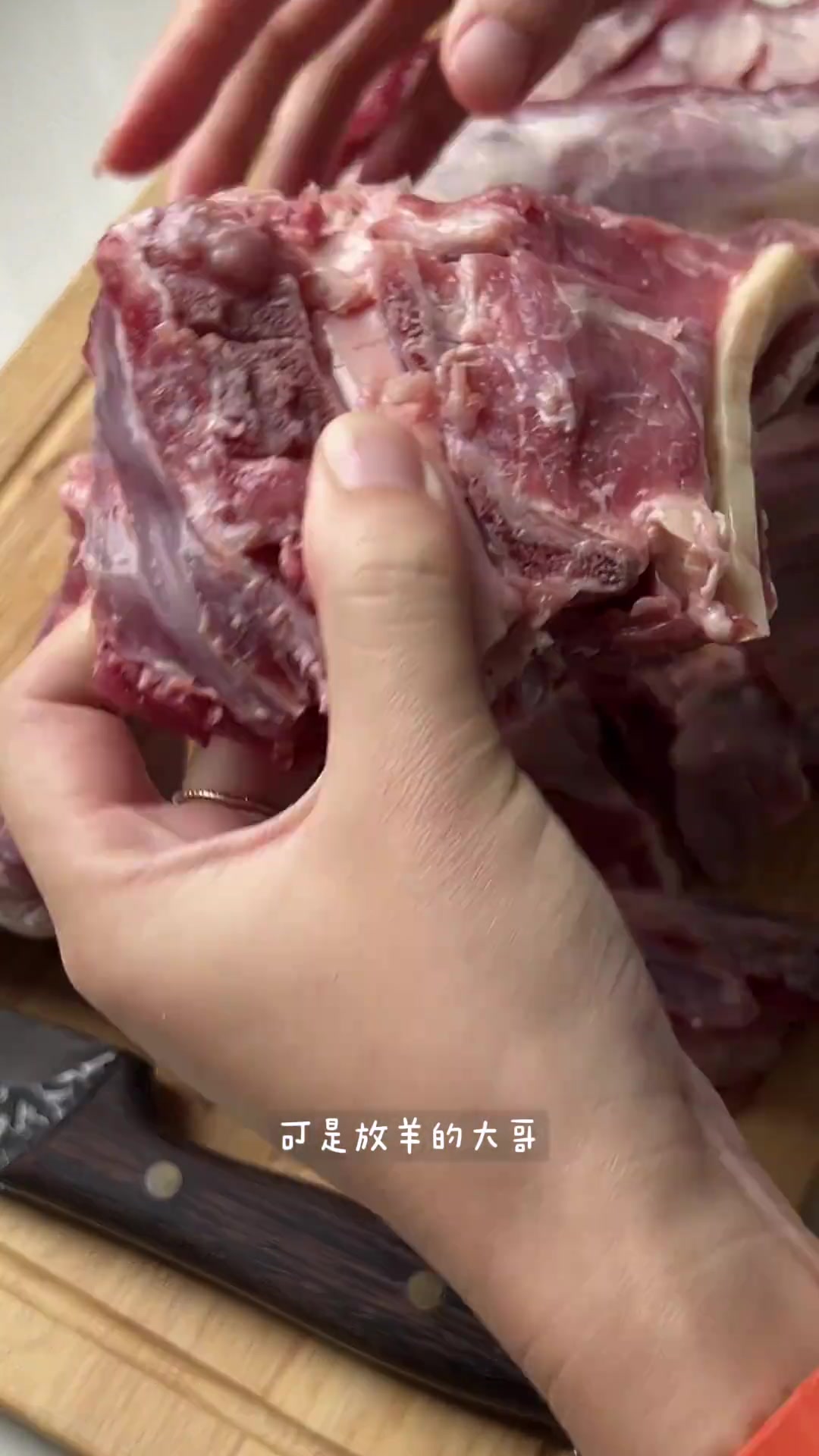 第290道菜 - 烤羊肉 腌制秘方 烤羊排 烤羊肉 大口吃肉 天儿冷吃点啥 家常