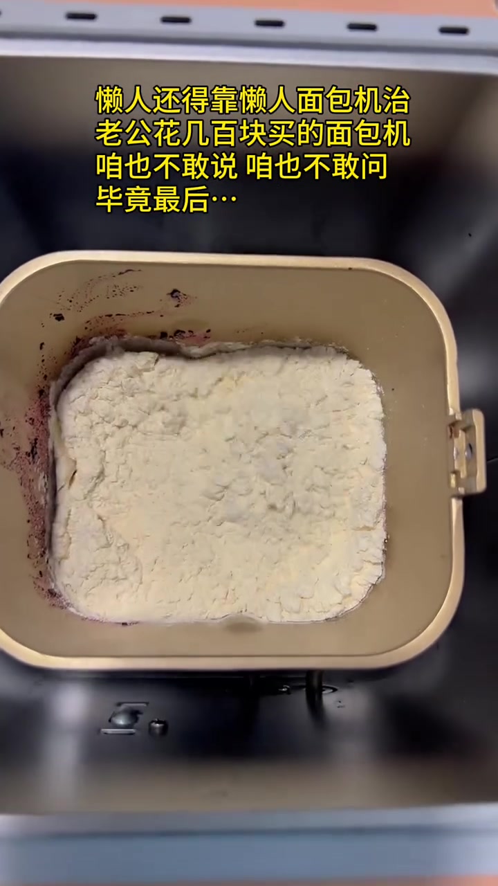 老公非要买的面包机……猜猜看这次要做什么 面包 蓝莓 吐司