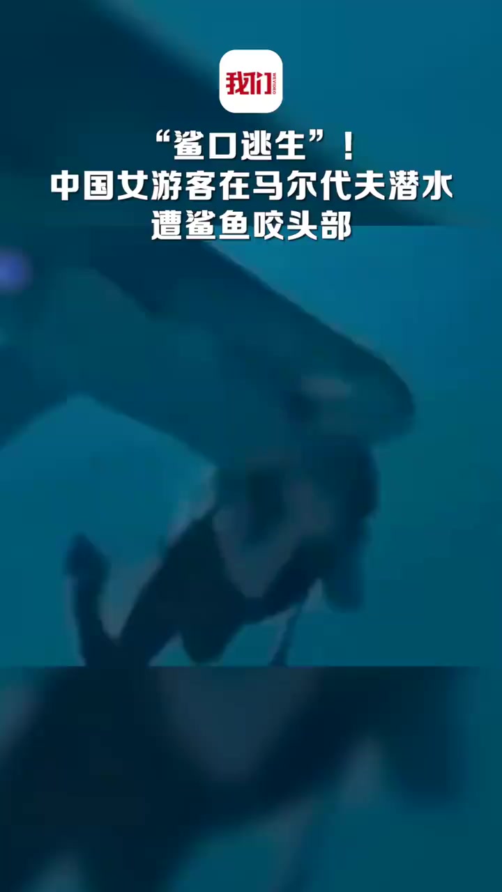 「中国女游客在马尔代夫潜水被鲨鱼咬头部 伤口缝40多针!」11月28日,马尔代夫媒体称一中