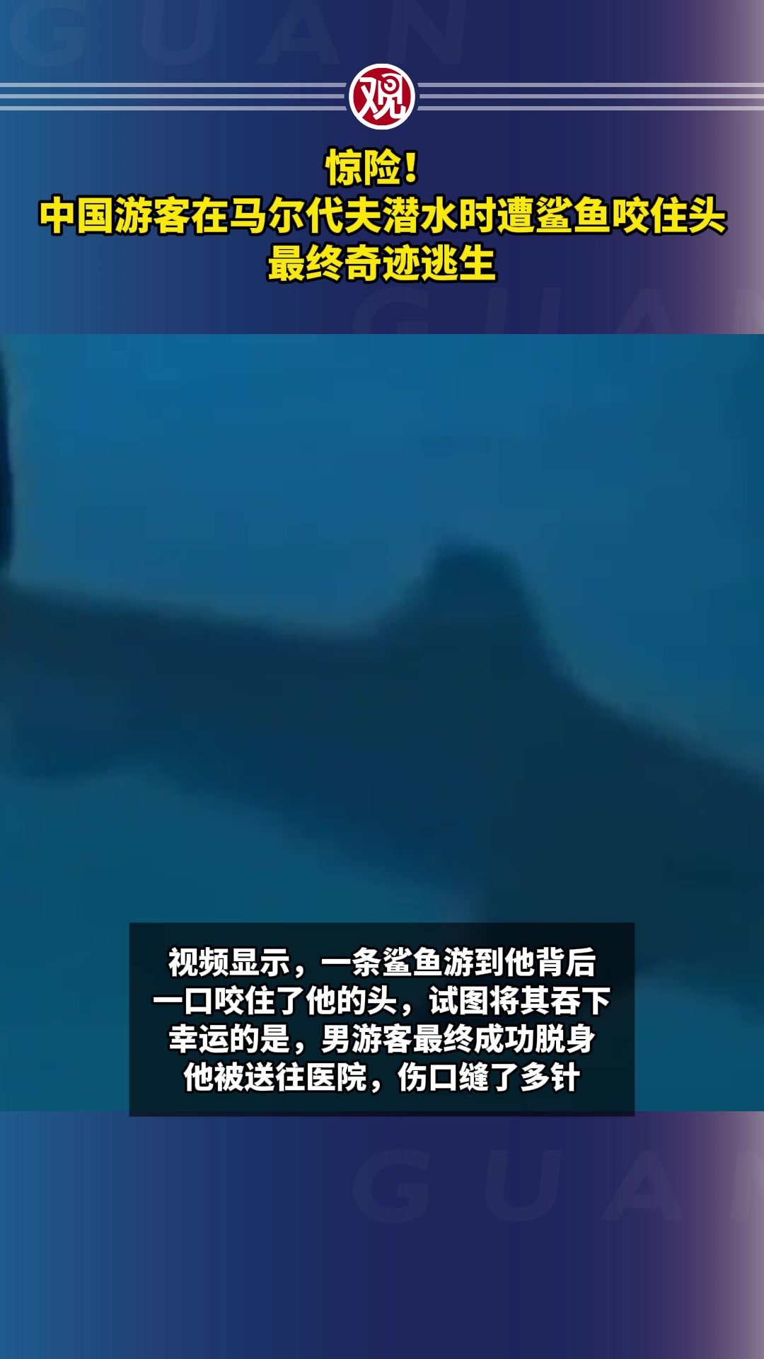 惊险!中国游客在马尔代夫潜水时遭鲨鱼咬住头,最终奇迹逃生