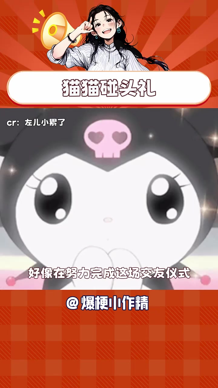 猫猫碰头礼 猫咪 碰头礼 娱你安利