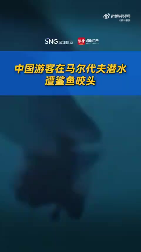 「中国游客在马尔代夫潜水,遭鲨鱼咬头」11月28日,据大象新闻报道,马尔代夫媒体称,一中国