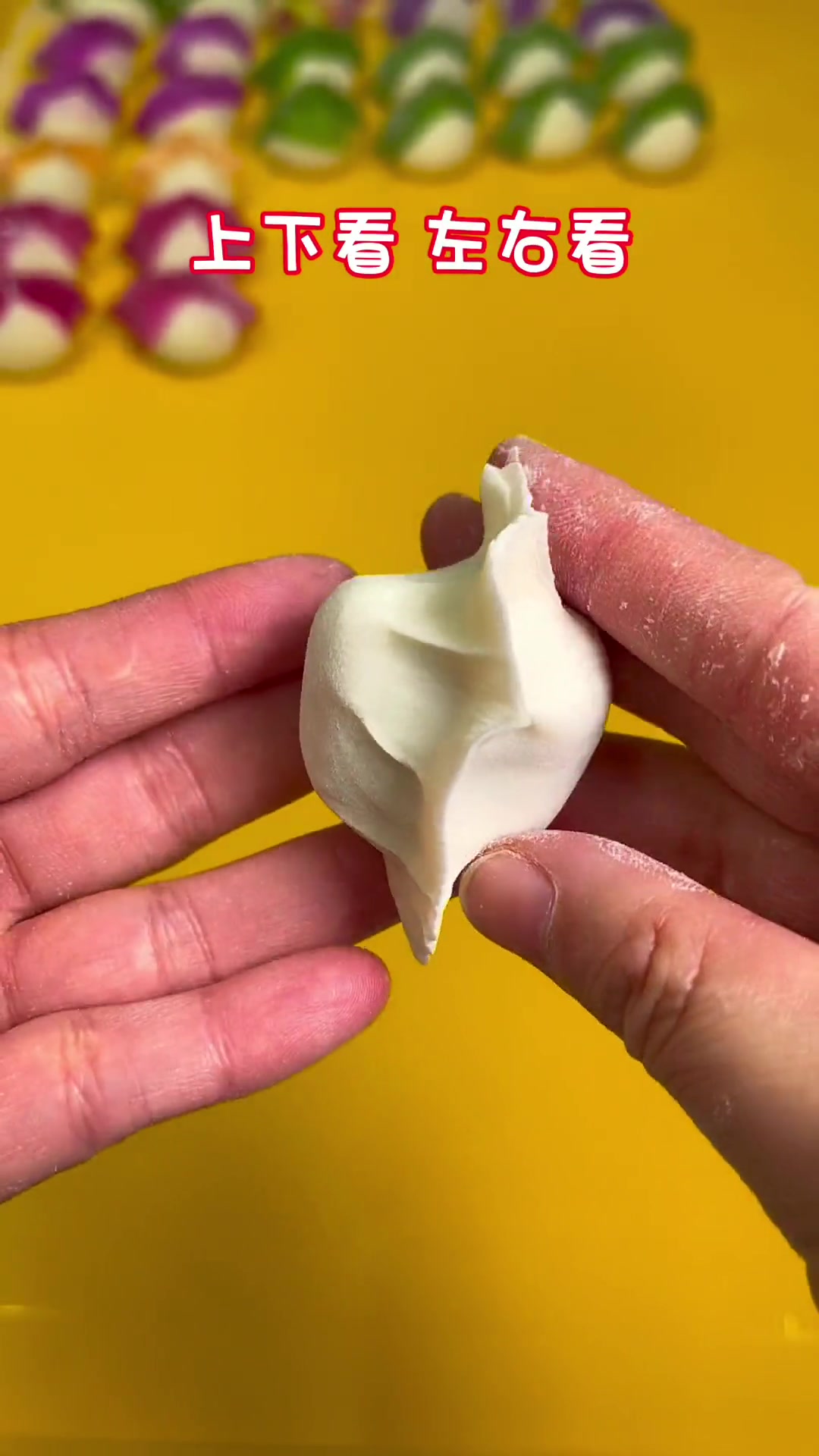 包饺子手法教程 元宝水饺、大肚水饺的手法慢动作