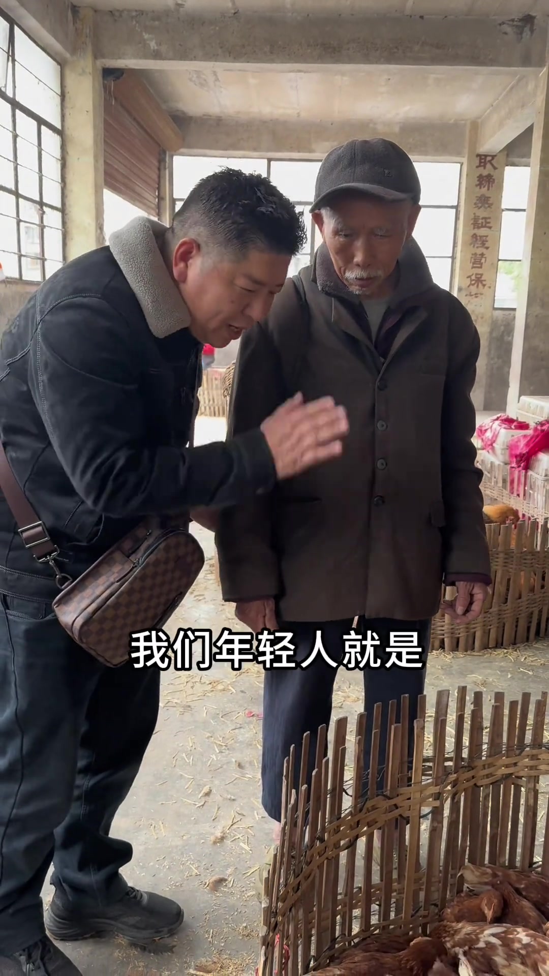 老爷爷想买鸡仔,回家养大下蛋