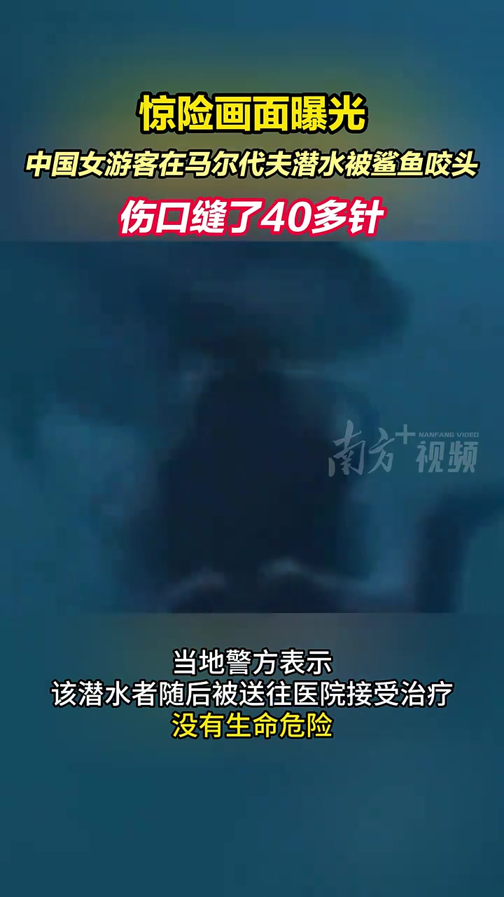 惊险画面曝光,中国女游客在马尔代夫潜水被鲨鱼咬头