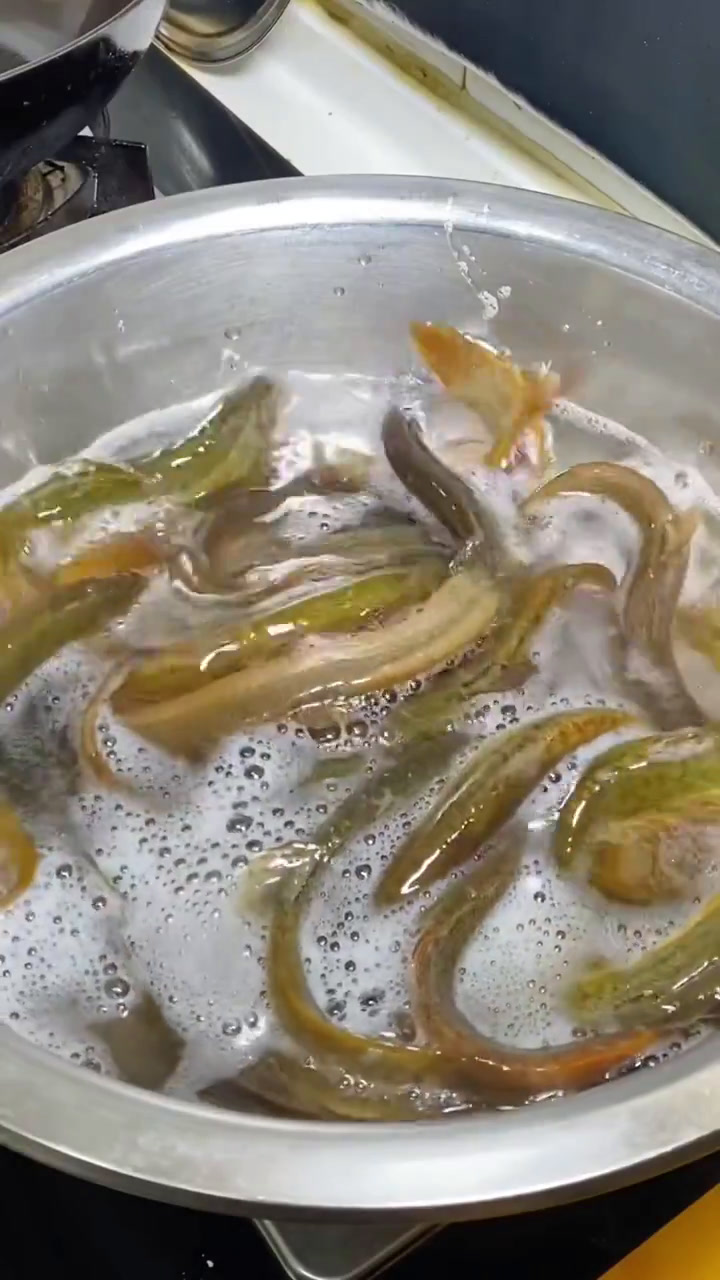 酱焖泥鳅鱼 分享给大家