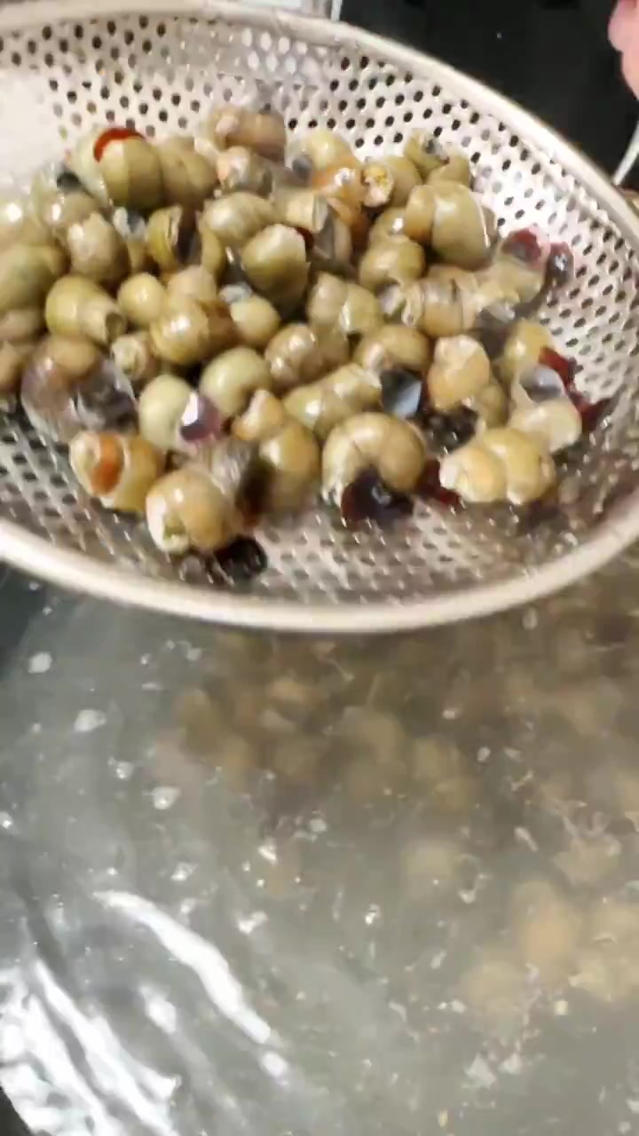 都说清明螺赛过鹅,今天来做野山椒烧螺丝!