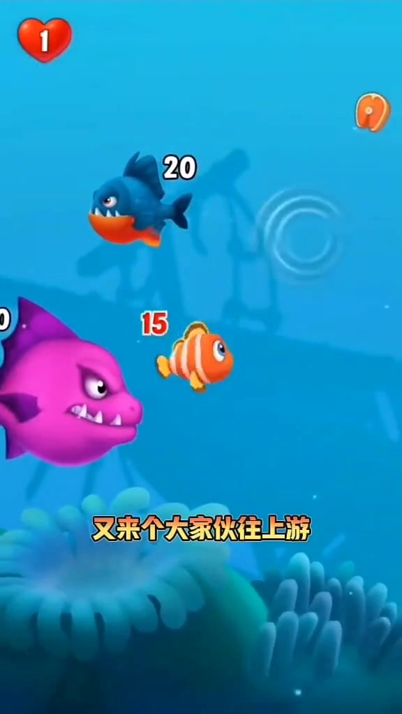 小丑鱼深海历险记