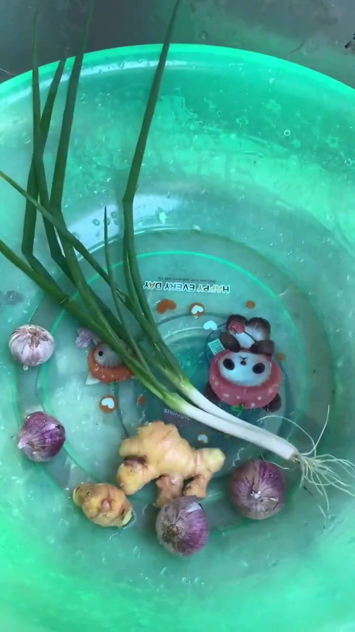 三七根的灵魂做法吃法,视频有点长,耐心看完哦!