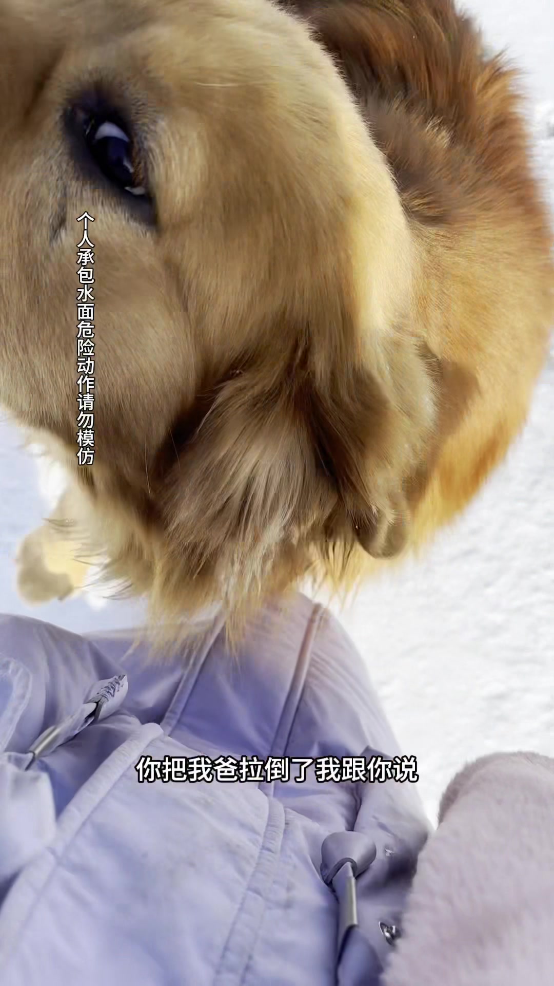 冬捕开始了,军哥说他这里下的网一会儿就上鱼,让我来看看