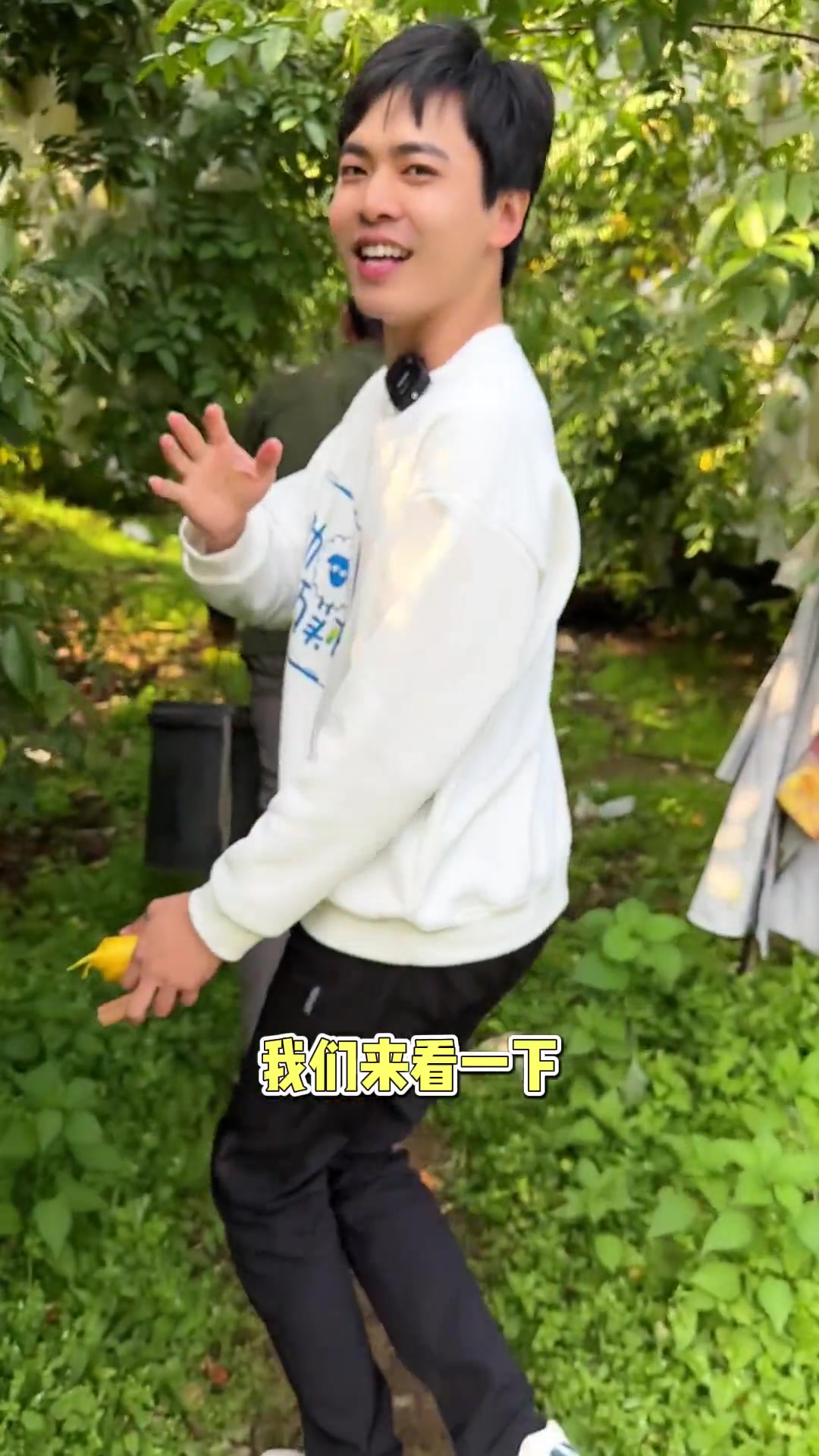 福建漳州除了下河杨桃,还有一个大产区,在南靖汤坑