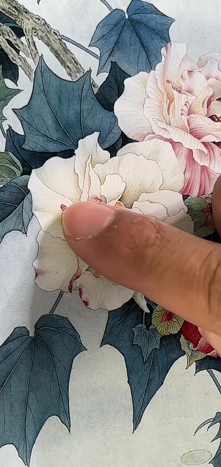 不容错过的竞艳白描底稿,快来看看吧!
