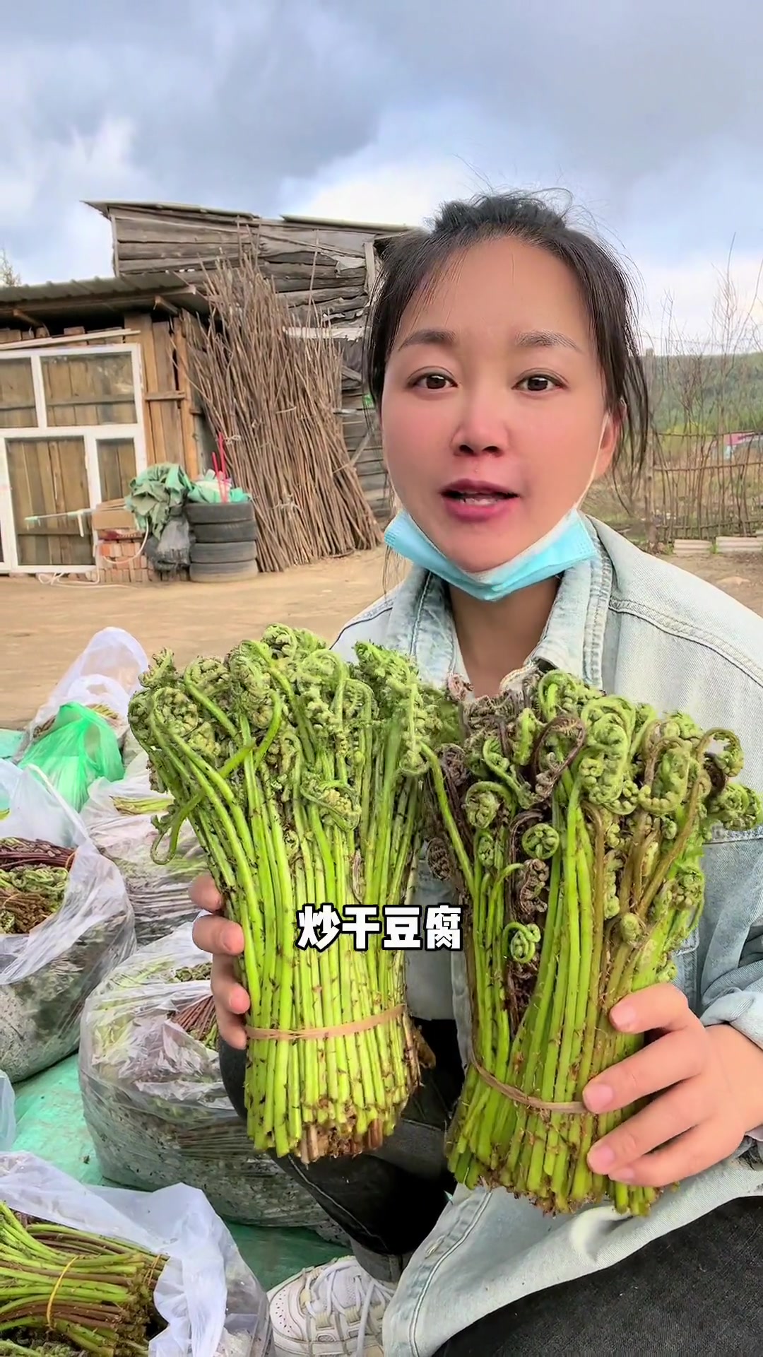 小伙伴们,今年的猴腿菜下来了,去年没买到的可以下单了
