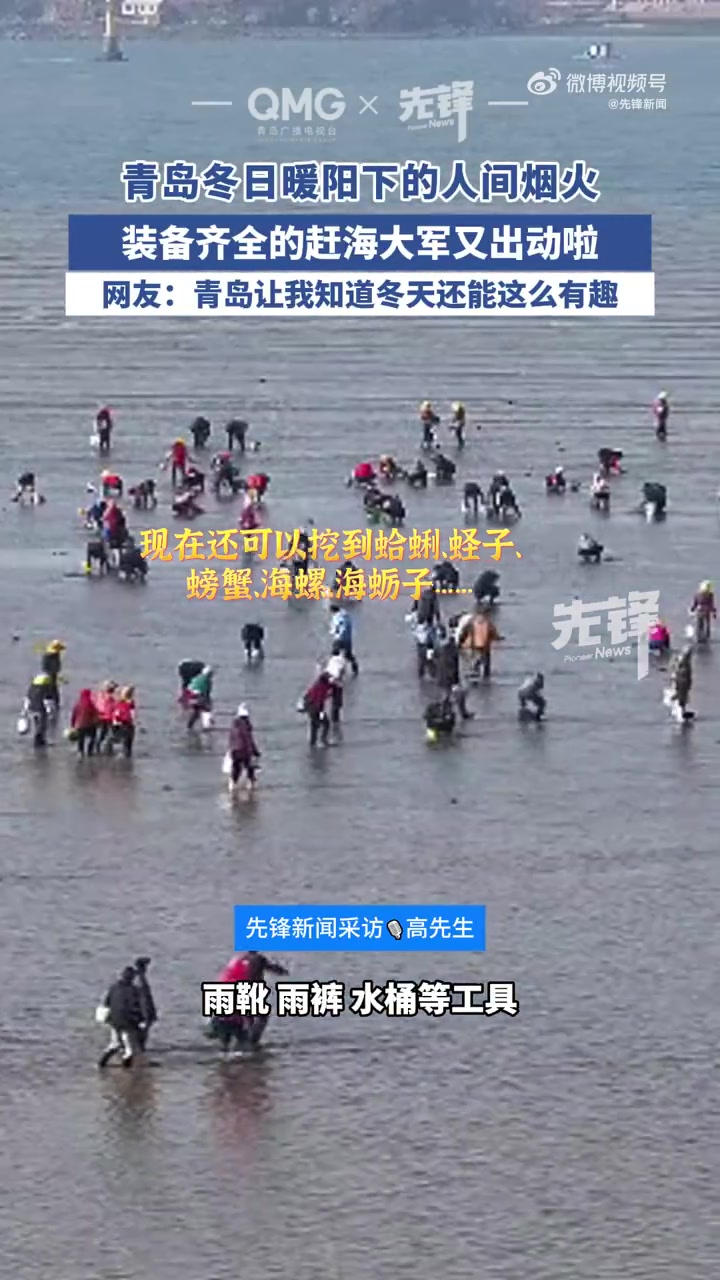 「来青岛做一次赶海人」12月2日,山东青岛,唐岛湾。冬日暖阳下的赶海,是你向往的“诗与远方