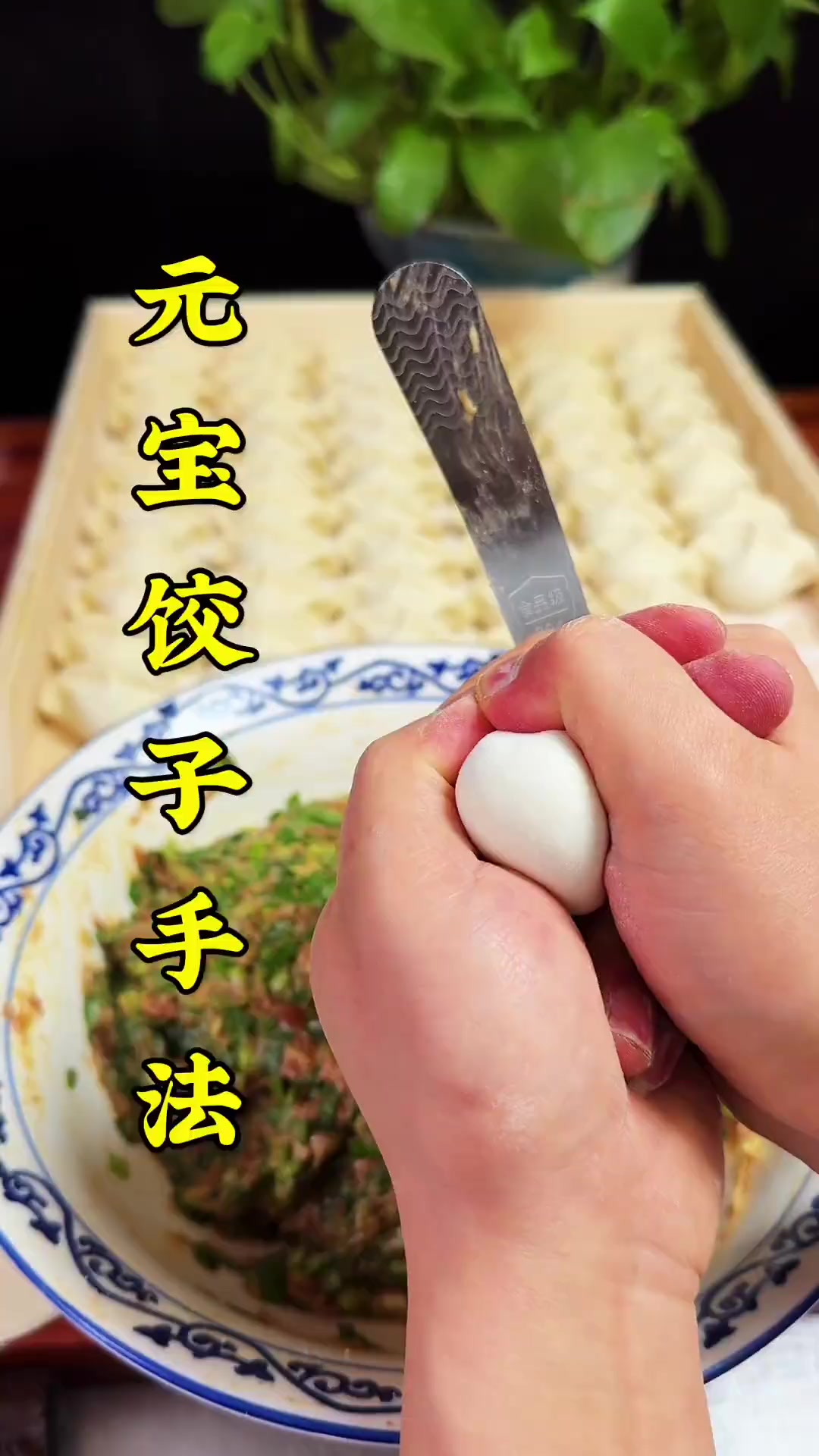 这么详细的饺子包制手法,在学不会告诉我地址去你家手把手教你饺子手法元宝饺子小吃培训西安小吃