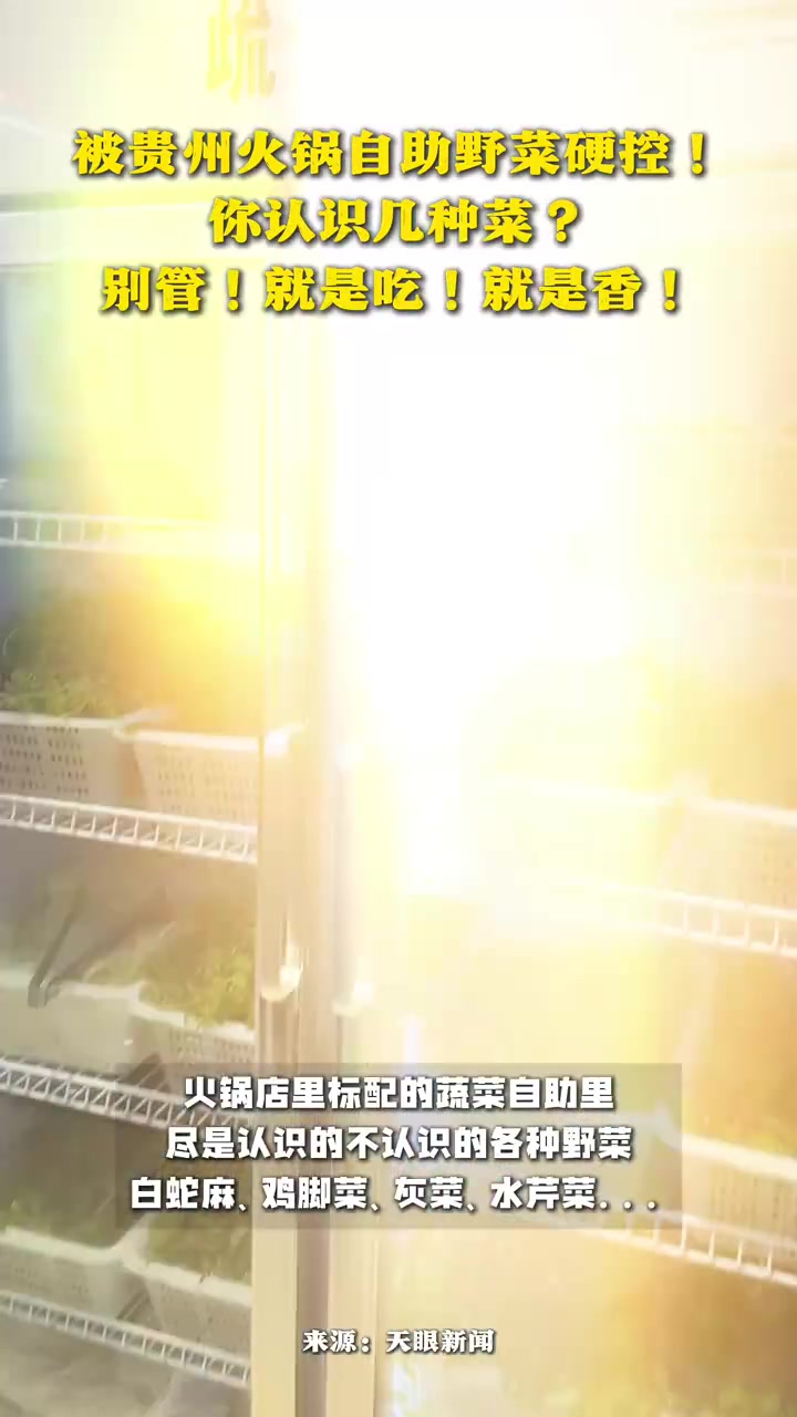 又到一年围炉吃火锅的季节!被贵州自助野菜火锅硬控!你认识几种菜?别管!就是吃!就是香!来贵