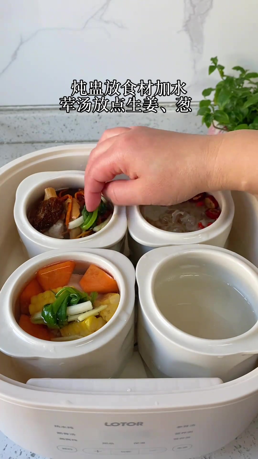 最近一直在用的隔水炖锅,煲汤煮粥蒸米饭炖甜品,样样行,一锅配多盅,可以上蒸下炖,还能,自动