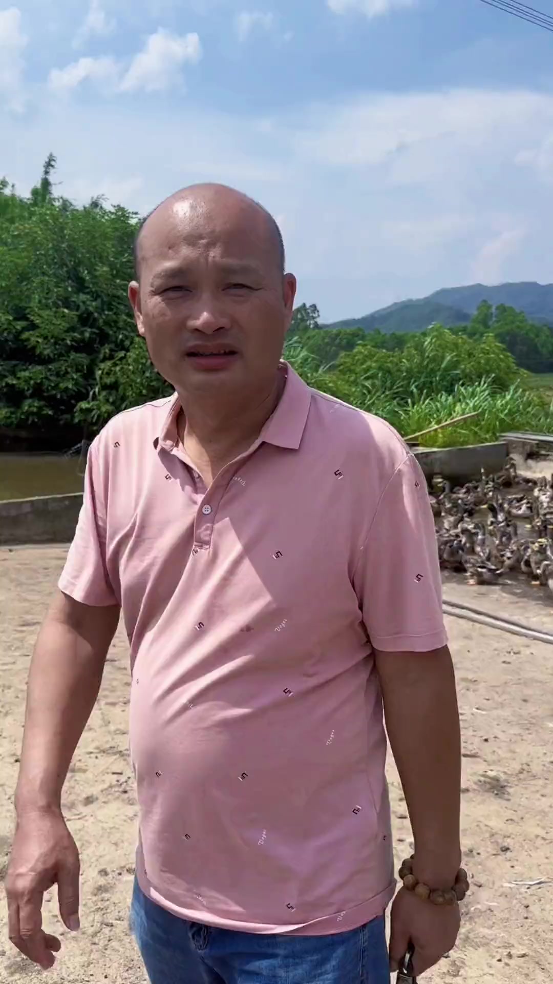 造访清远两个二十多岁返乡青年的三农鸭场!鸭肉真的甜!