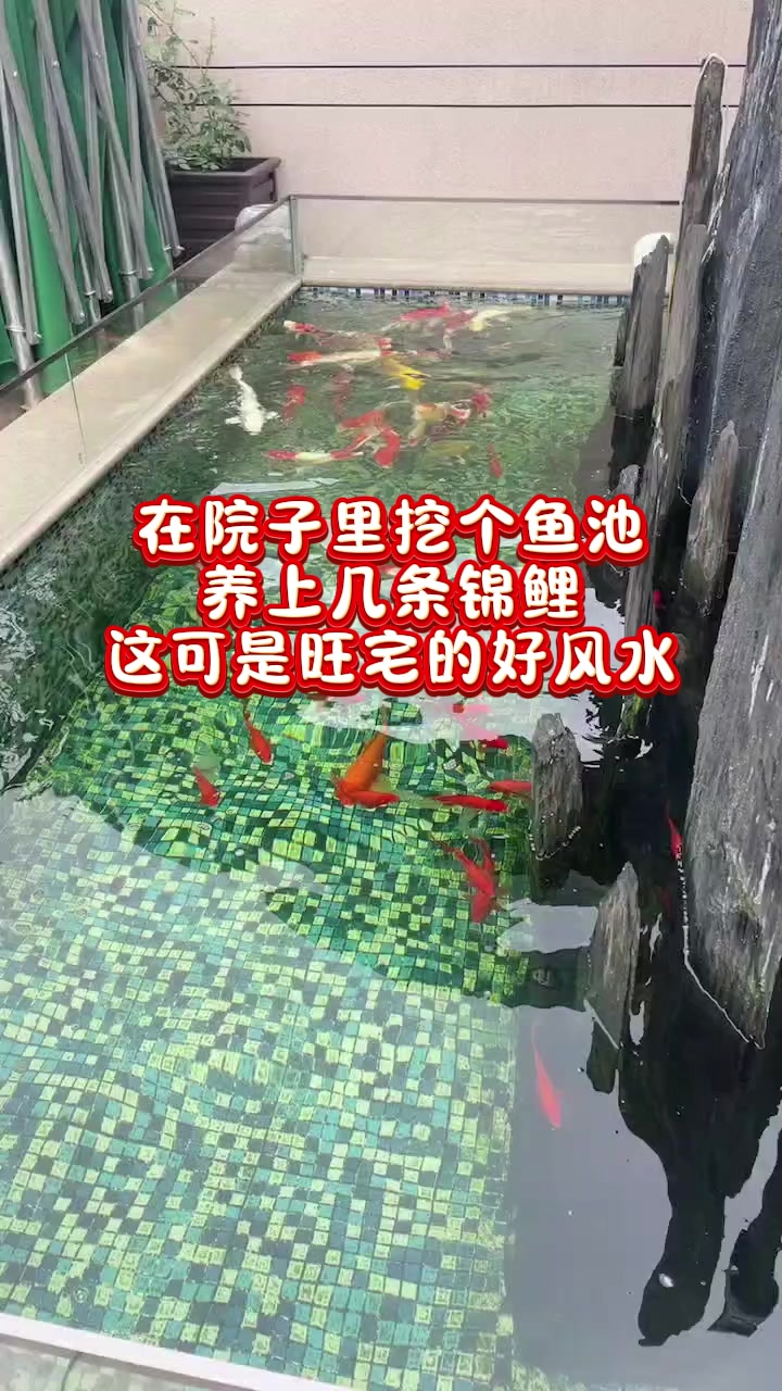 外置鱼池过滤器 鱼池过滤器 庭院鱼池 别墅鱼池