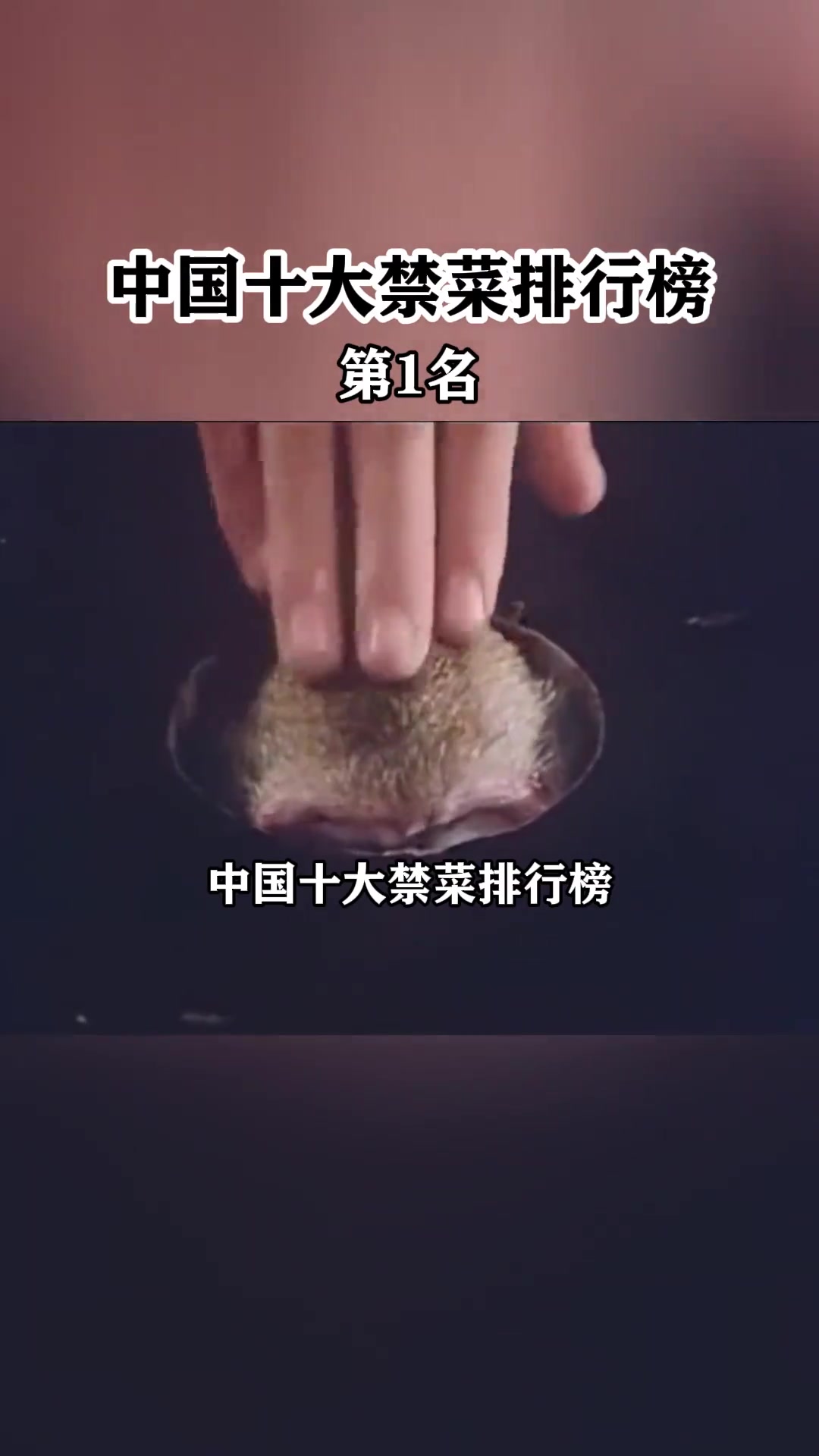 真的有人这么重口味么,简直就是舌尖上的罪孽禁菜猴头饮食黑暗料理烹饪