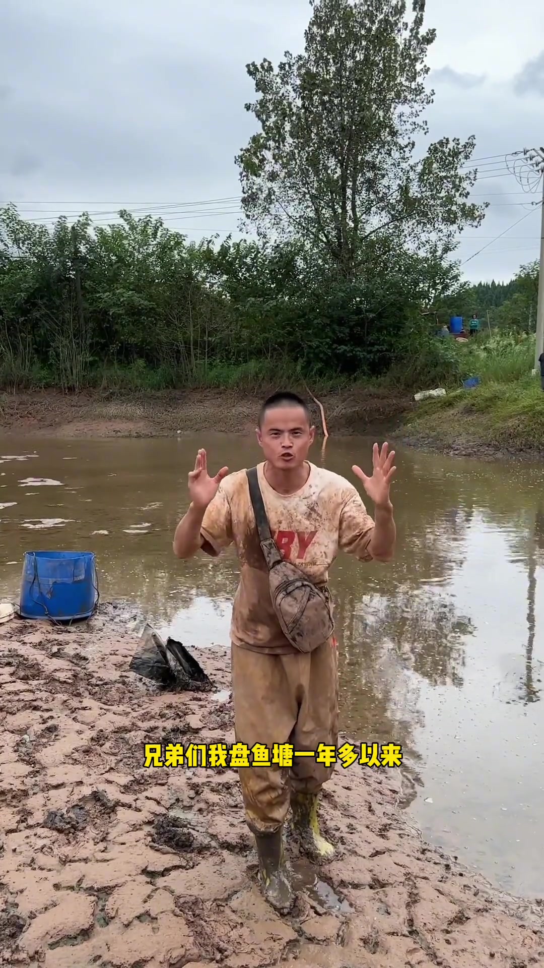 盘鱼塘一年多以来从没见过这么多乌棒,乌棒如云,点开头像看直播