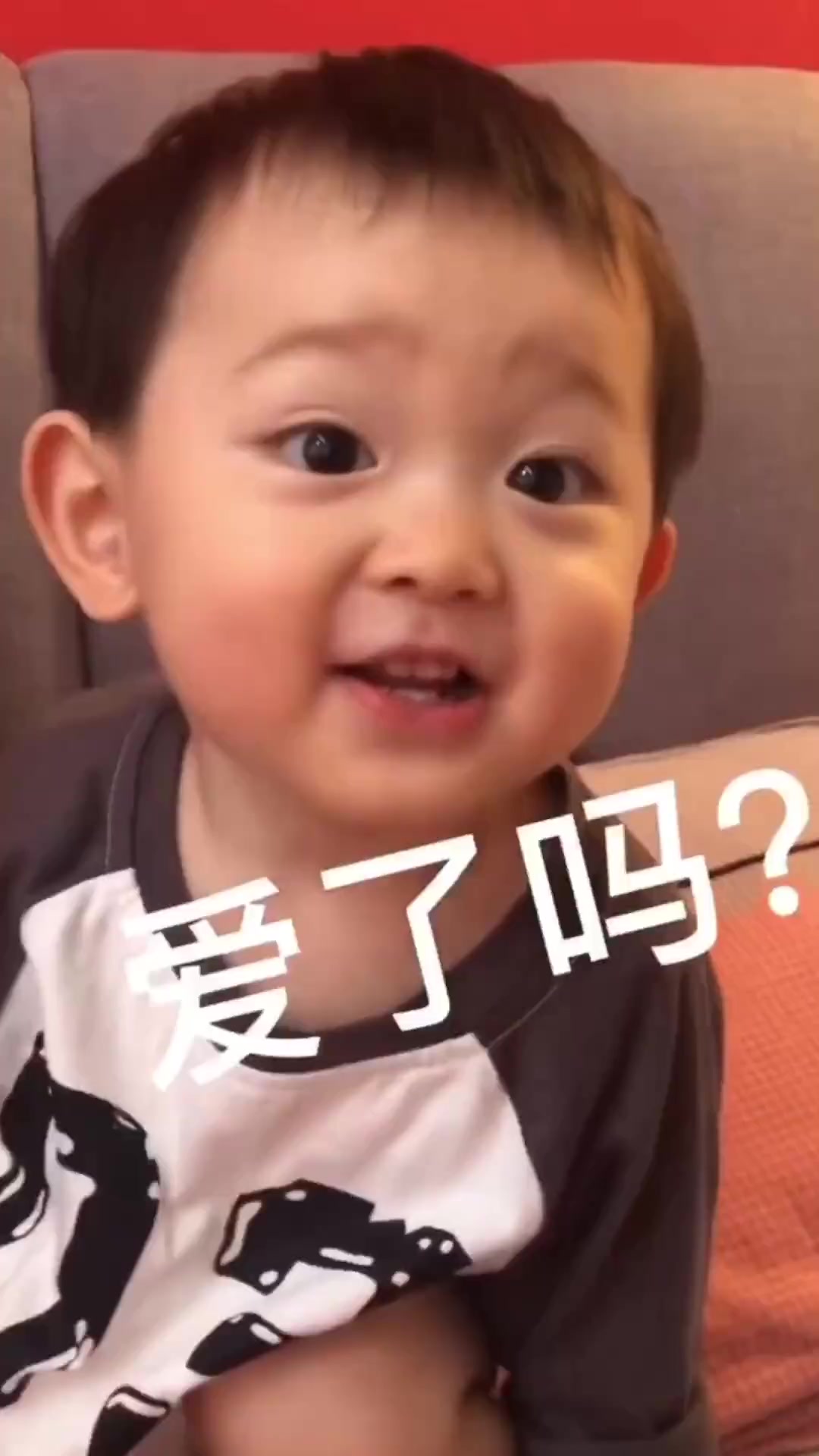 汤了个圆小阿汤圆 可爱到爆 圆圆和肉团太可爱啦