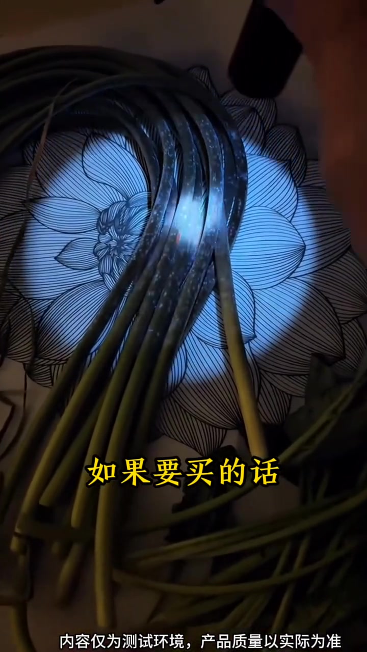 蔬菜检测紫光灯