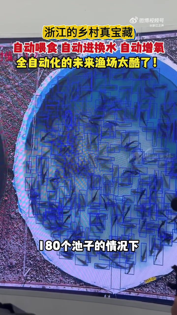 「自动投喂 自动进水 自动增氧 浙江的未来渔场太酷了」浙江的乡村真宝藏 浙江乡村这么美 “